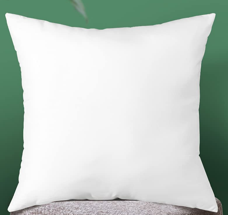 Pillow Insert